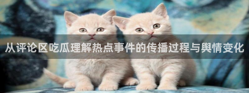 今日网络话题