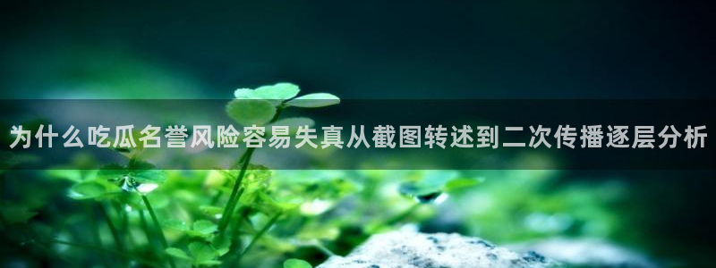 网络最新爆料