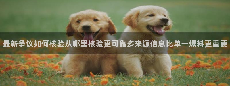 911吃瓜网
