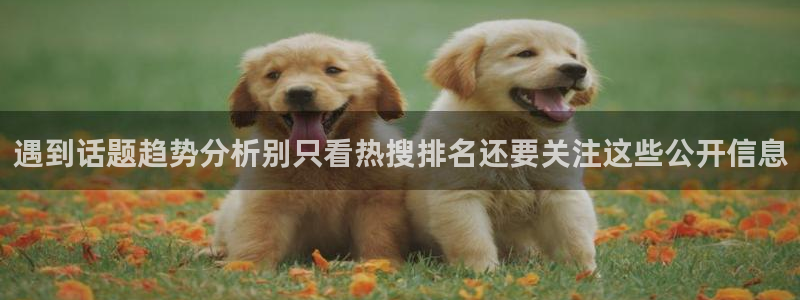 网络资讯大全