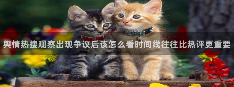 911吃瓜今日事件:舆情热搜观察出现争议后该怎么看时间线往往比热评更重要
