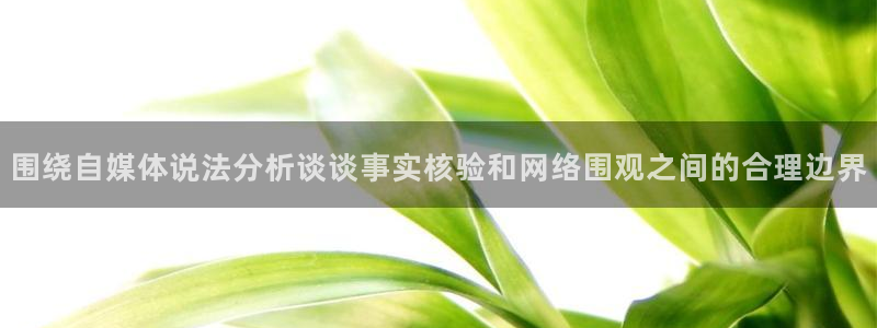 热点事件大全:围绕自媒体说法分析谈谈事实核验和网络围观之间的合理边界