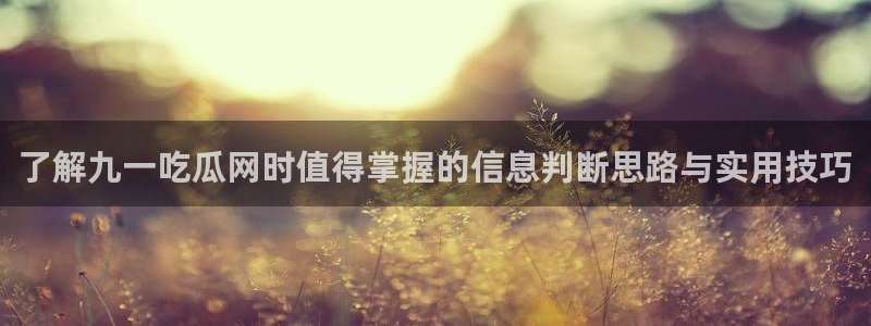 网络资讯大全:了解九一吃瓜网时值得掌握的信息判断思路与实用技巧