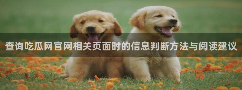 911吃瓜今日热点：查询吃瓜网官网相关页面时的信息判断方法与阅读建议