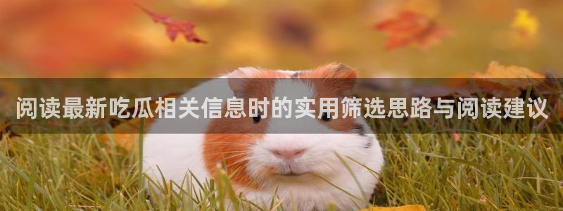 吃瓜热点新闻：阅读最新吃瓜相关信息时的实用筛选思路与阅读建议