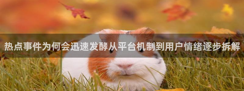 吃瓜网络新闻：热点事件为何会迅速发酵从平台机制到用户情绪逐步拆解