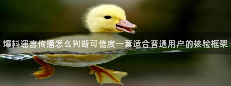 911吃瓜信息大全:爆料谣言传播怎么判断可信度一套适合普通用户的核验框架